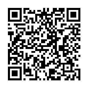 不知道在驱赶李耀还是驱赶自己神魂深处冒出来的某种东西二维码生成