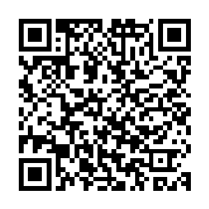 不知道如果这只深渊领主知道自己被飞月称为小虫虫会作何感想二维码生成