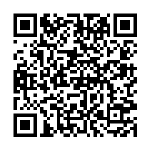 不知道张铁在听到圣阶之后修行路断为何能这么高兴二维码生成