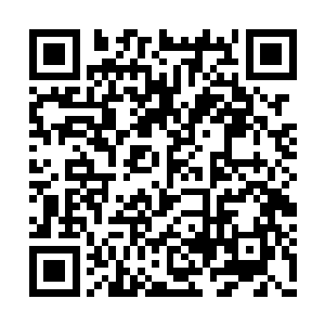 不知道归一大神人从哪里找来了可以酿酒的材料二维码生成