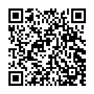 不知道拿着我信物去见你们老祖宗的人有回音了吗二维码生成