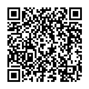 不知道是他确实对秦洛的为人处事做过一番了解还是故意说这些话来拍他的马屁二维码生成