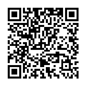 不知道是仙女楼的楼主自信我不能够从这里逃出去二维码生成