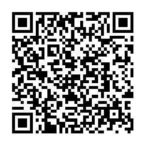不知道是因为特殊安排还是因为魔都影视学院的伙食档次原本就比较高的原因二维码生成