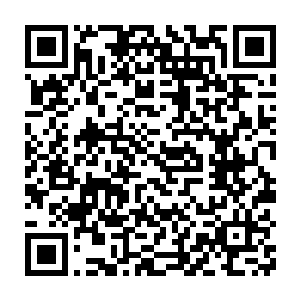不知道是晕水昏迷还是被砸成重伤昏迷的蠢蠢终于被拖到了地面上二维码生成