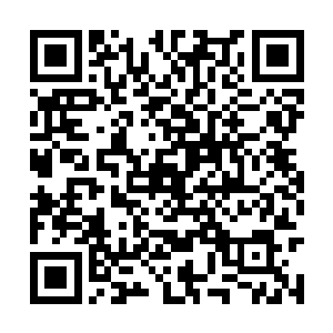 不知道是被逼走了还是仗着人多势众出来大显身手二维码生成
