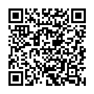 不知道有多少修士被挡在了炼虚进阶合体这一步前二维码生成