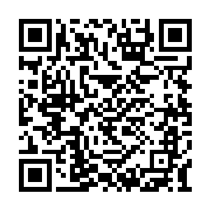 不知道此时的人鱼公主有没有回到龙王宫殿之中二维码生成