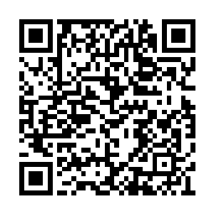 不知道白小飞此时突然问自然博物馆是什么意思二维码生成