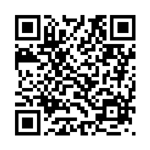 不知道经纪人唐尼叔叔肯不肯……二维码生成