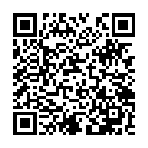 不知道绿豆眼那个小子能不能顺利将朱良生弄下来二维码生成