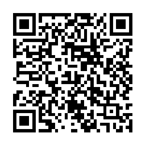 不知道自己的莲花神焰当中能不能孕育出三世冰莲二维码生成