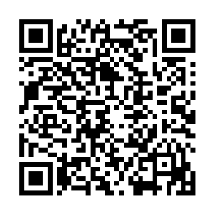 不知道莫小鱼知道了梅芸芸的心理活动后是个什么感觉二维码生成