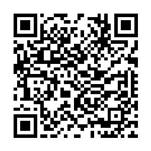 不知道西门家主今天这么大的阵仗是想要干什么啊二维码生成