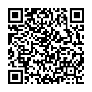 不知道过了多久小金的声音在龙傲天的耳边响起二维码生成