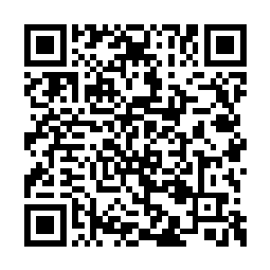 不知道还有几万的半人族孩子继续着这样的命运二维码生成