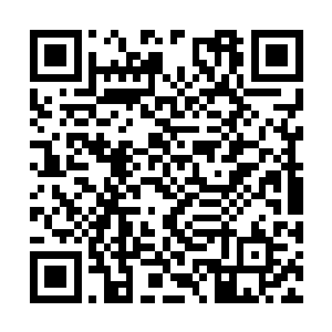 不知道这个常委会会不会是我的最后一次常委会了二维码生成