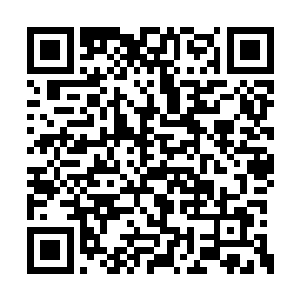 不知道这怀远堂中最年轻的家族长老在发什么疯二维码生成