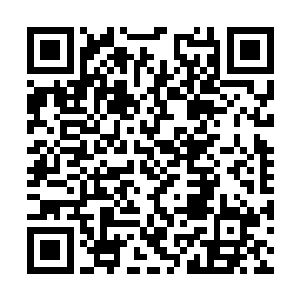 不知道那边盖的怎么样了――好久都没好好败家啦二维码生成