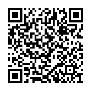 不知那位隐藏在暗中的神秘强者究竟是什么身份二维码生成