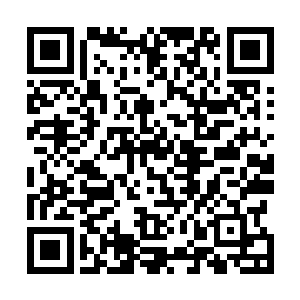 不等我和奶奶接腔就匆匆离开我和奶奶房间回返到他房间二维码生成