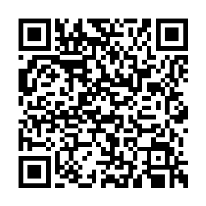 不等这位不知道是姐姐还是妹妹的美女开口回答二维码生成