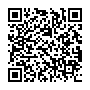 不管从上到下还是从里到外保证的都是他们的利益二维码生成