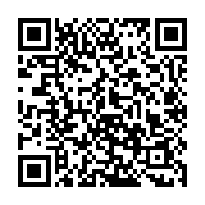 不管你是像唐三十六一样在雪林里抱着树不停地打嗝二维码生成