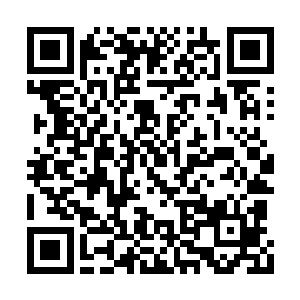 不管是台词和眼神都比昨天彩排的时候要好一些二维码生成