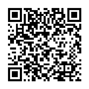 不管是大顺国还是南界的古蜀国都自愿将那一处废弃二维码生成