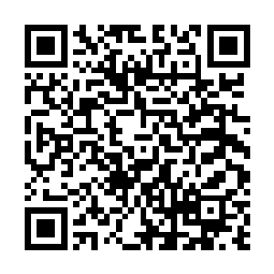 不管是她真正的设计粉丝还是那些冲着她家庭背景去的人二维码生成