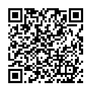 不管是明亥还是天都太子都不缺那指令天下的领袖之气二维码生成