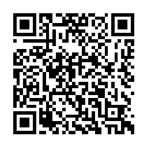 不管是苏紫萱还是桃姐都无法用科学解释这一点二维码生成