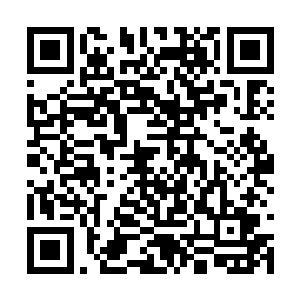 不管是跟着他打猎还是换盐队伍的伤亡都是极低的二维码生成