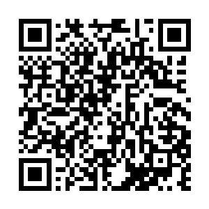 不管走到哪里都是迎来掌声一片与尖叫声此起彼伏二维码生成