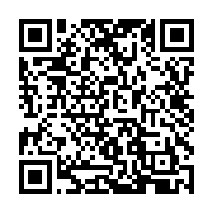 不管龙王做出什么样的选择苏凡都会义无反顾的支持二维码生成