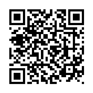 不能一口气弄几万块钱的餐饮发票二维码生成