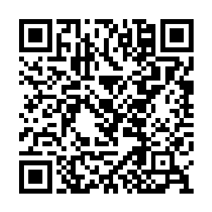 不能一展我大军骑兵的突袭之效实在是让人遗憾二维码生成