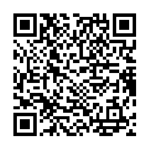 不能够因为她许紫烟一个人就把整个人族拖进了浩劫之中二维码生成