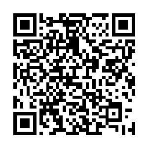 不能抱着老旧的思想去认为争夺地盘就可以扩大自己的权利二维码生成