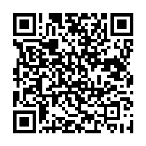 不能离开的妖王蛮王们也抓着巨石砸向天空的大学士二维码生成