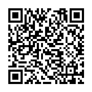 不至于会撇开我单助陈霜燃……小黑皮在外头有人二维码生成