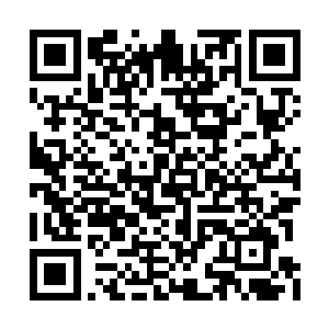 不至于看不出来区长镜对觉非罗那种复杂的感情二维码生成