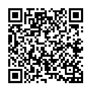 不苟言笑的白依卿正含情脉脉的注视着眼前的少年二维码生成