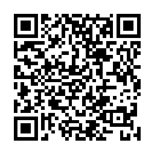 不要以为你背后有着欧阳世家做靠山就可以这般无法无天二维码生成