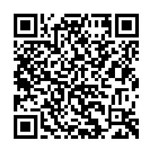 不要忘记你的身份……一个卑贱的混血奴隶而已二维码生成