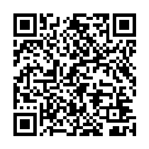不要说他们万分期待的想要把这几个招数刻印在自己骨头里二维码生成