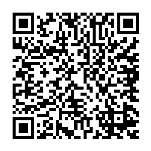 不见得就比日本那家公司原来的规模差多少……要不是产品质量不够硬二维码生成