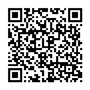 不论是先天元纹还是先天珍宝抑或是其他的东西二维码生成