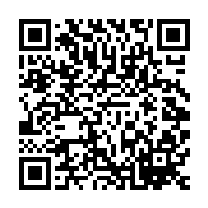 不论是胆气还是修为都精进了许多・否则按照他们原来的心性二维码生成